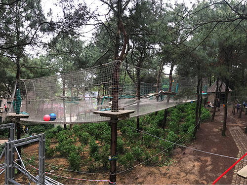 福建丛林穿越｜丛林飞跃｜丛林探险项目 