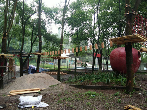 福建丛林穿越｜树上探险